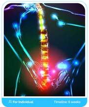 Load image into Gallery viewer, Ankylosing Spondylitis Online Boot Camp Program Course (Public)