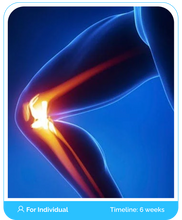 Load image into Gallery viewer, Knee Osteoarthritis Online Boot Camp Program Course (Public)