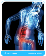 Load image into Gallery viewer, Lumbar Spinal Stenosis Online Boot Camp Program Course (Public)