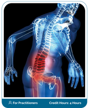 Load image into Gallery viewer, Lumbar Spinal Stenosis Online Boot Camp Program Course (Practitioner)