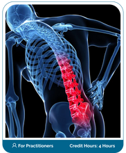 Load image into Gallery viewer, Persistent Low Back Pain Online Boot Camp Program Course (Practitioner)