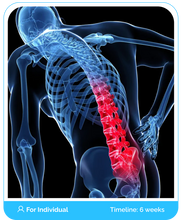 Load image into Gallery viewer, Persistent Low Back Pain Online Boot Camp Program Course (Public)