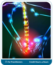 Load image into Gallery viewer, Ankylosing Spondylitis Online Boot Camp Program Course (Practitioner)
