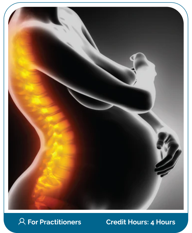 Pregnancy Related Low Back Pain Online Bootcamp Program Course