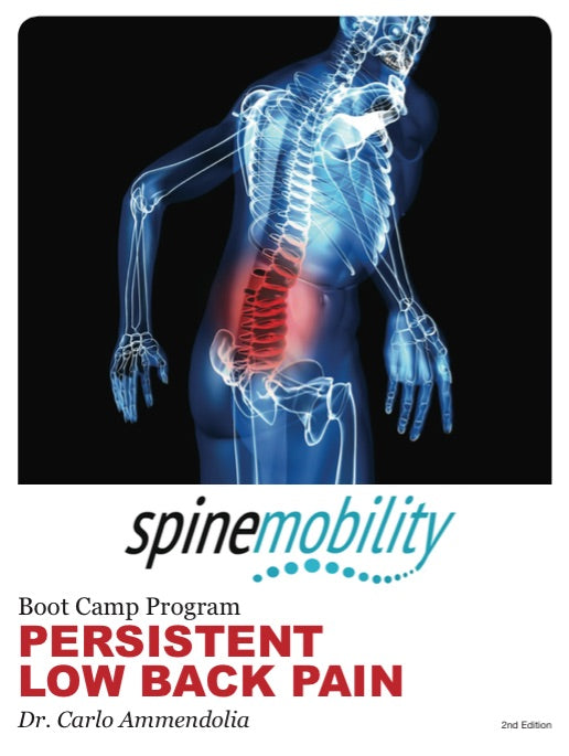 Persistent Low Back Pain Boot Camp Patient Workbook (Public)-Hardcopy
