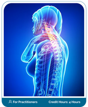 Load image into Gallery viewer, Persistent Neck Pain Online Boot Camp Program Course (Practitioner)
