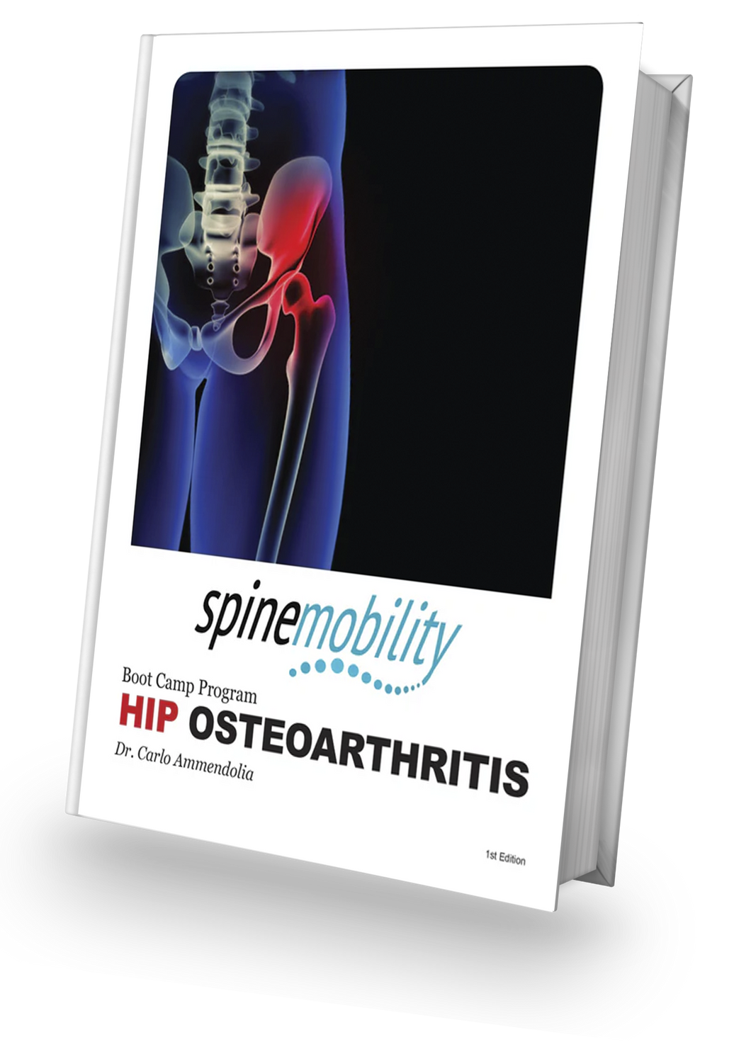 Hip Osteoarthritis Boot Camp Program - Workbook