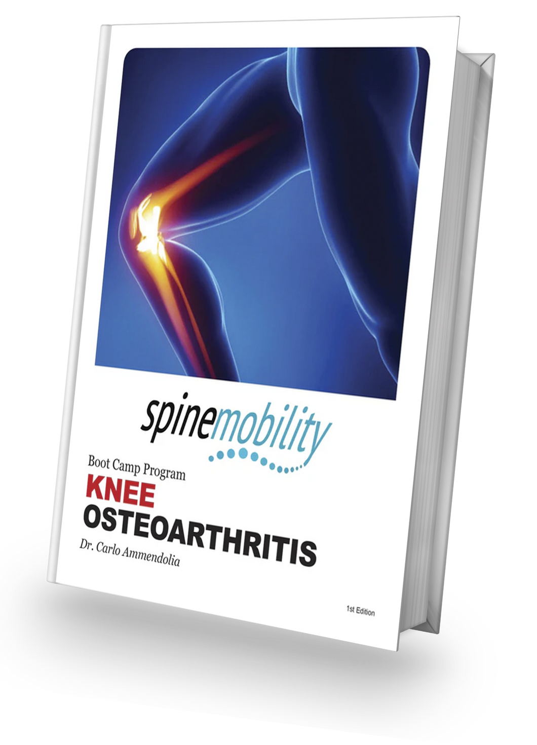 Knee Osteoarthritis Boot Camp Patient Workbook