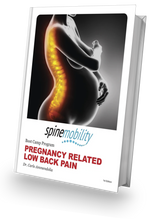 Load image into Gallery viewer, Pregnancy and Low Back Pain Boot Camp Program (Patient Physical Workbook)
