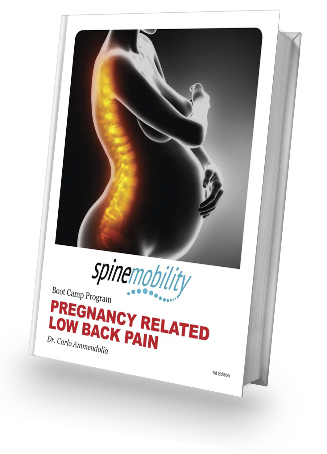 Pregnancy and Low Back Pain Boot Camp Program (Patient Physical Workbook)