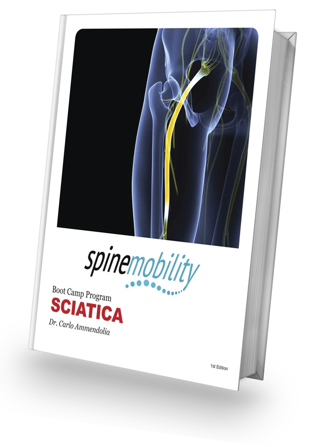 Sciatica Boot Camp program (Public)- Workbook Hardcopy