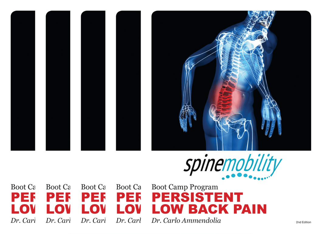 Persistent Low Back Pain Boot Camp Program Patient Workbook Bundle (Includes 5)