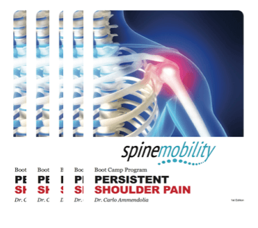 Persistent Shoulder Pain Patient Workbook Bundle (Includes 5)