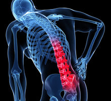 Load image into Gallery viewer, Persistent Low Back Pain is a 6-week online training program aimed to significantly improve short and long-term outcomes.  PLBP refers to low back pain that persists for more than 3 months. It is the most common type of back pain and the leading cause of disability in the world. PLBP has the highest health care expenditure of any other condition.  It is most common among 40-80 year olds 
